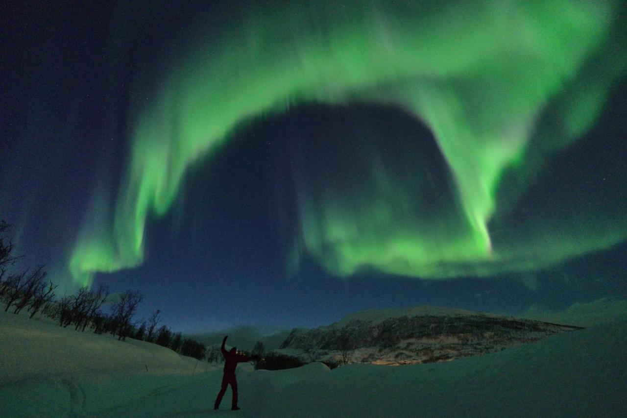 Maribell Sjobuer As Appartement Tromsø Buitenkant foto
